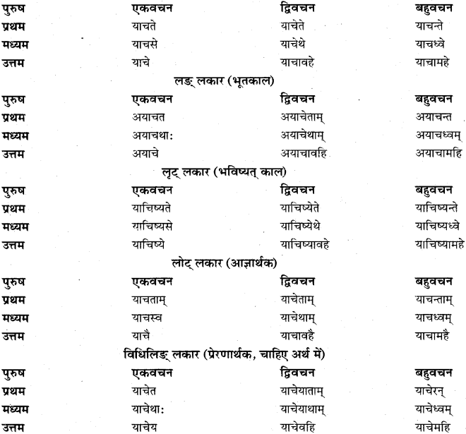 RBSE Class 11 Sanskrit व्याकरणम् धातुरूप प्रकरणम् 32