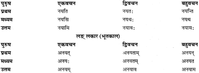 RBSE Class 11 Sanskrit व्याकरणम् धातुरूप प्रकरणम् 33