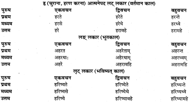RBSE Class 11 Sanskrit व्याकरणम् धातुरूप प्रकरणम् 37