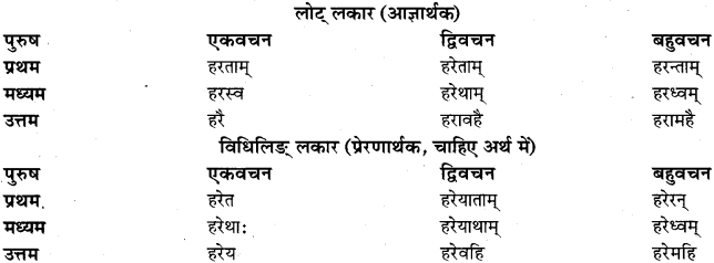 RBSE Class 11 Sanskrit व्याकरणम् धातुरूप प्रकरणम् 38