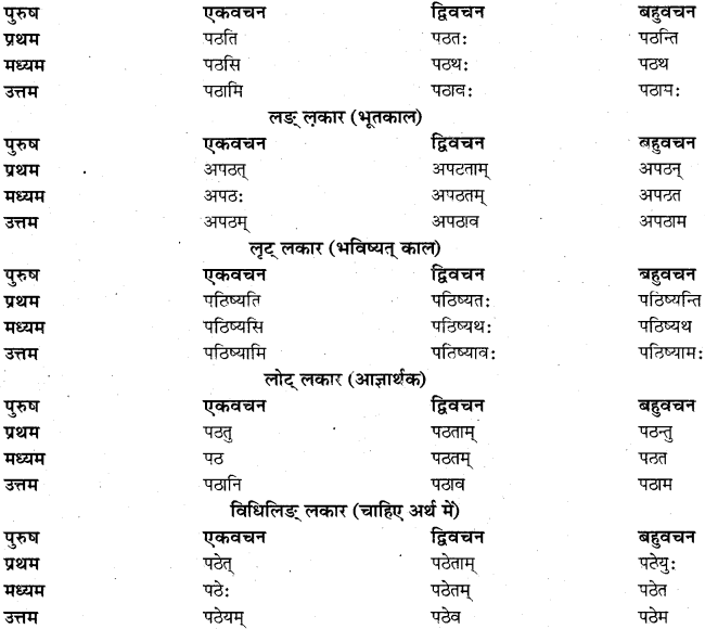 RBSE Class 11 Sanskrit व्याकरणम् धातुरूप प्रकरणम् 4