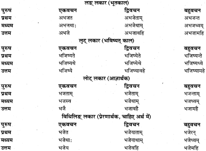 RBSE Class 11 Sanskrit व्याकरणम् धातुरूप प्रकरणम् 40
