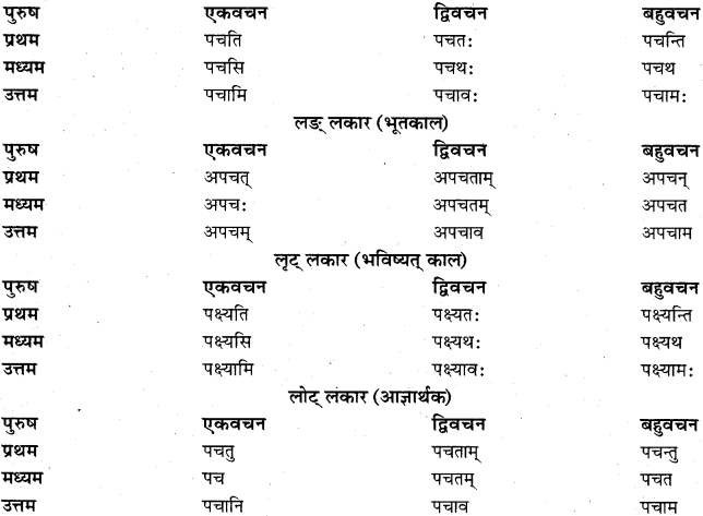 RBSE Class 11 Sanskrit व्याकरणम् धातुरूप प्रकरणम् 41
