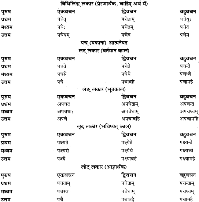 RBSE Class 11 Sanskrit व्याकरणम् धातुरूप प्रकरणम् 42