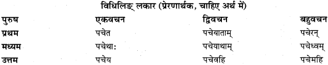 RBSE Class 11 Sanskrit व्याकरणम् धातुरूप प्रकरणम् 43