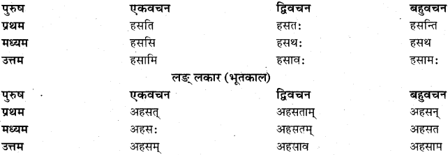 RBSE Class 11 Sanskrit व्याकरणम् धातुरूप प्रकरणम् 5