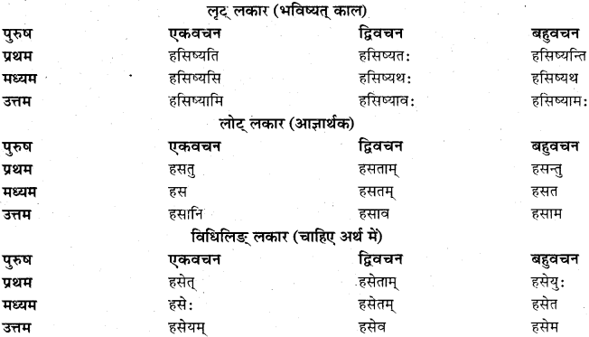 RBSE Class 11 Sanskrit व्याकरणम् धातुरूप प्रकरणम् 6