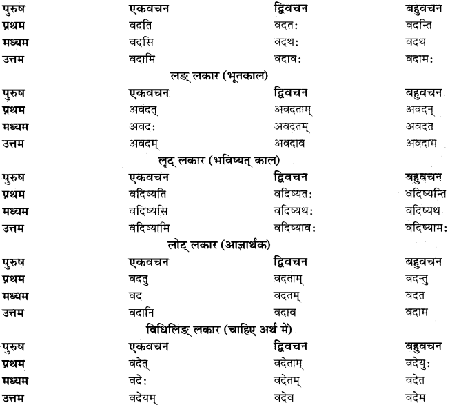 RBSE Class 11 Sanskrit व्याकरणम् धातुरूप प्रकरणम् 7