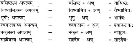 RBSE Class 11 Sanskrit व्याकरणम् प्रत्यय ज्ञानम् 37