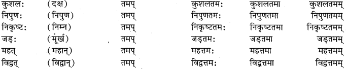 RBSE Class 11 Sanskrit व्याकरणम् प्रत्यय ज्ञानम् 41