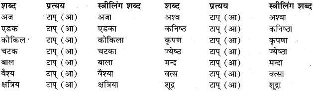 RBSE Class 11 Sanskrit व्याकरणम् प्रत्यय ज्ञानम् 43