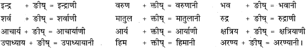 RBSE Class 11 Sanskrit व्याकरणम् प्रत्यय ज्ञानम् 50