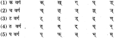 RBSE Class 11 Sanskrit व्याकरणम् वर्ण परिचय 3