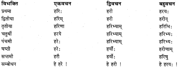 RBSE Class 11 Sanskrit व्याकरणम् शब्दरूप प्रकरणम् 10