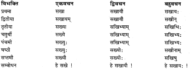 RBSE Class 11 Sanskrit व्याकरणम् शब्दरूप प्रकरणम् 11
