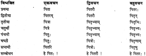 RBSE Class 11 Sanskrit व्याकरणम् शब्दरूप प्रकरणम् 12