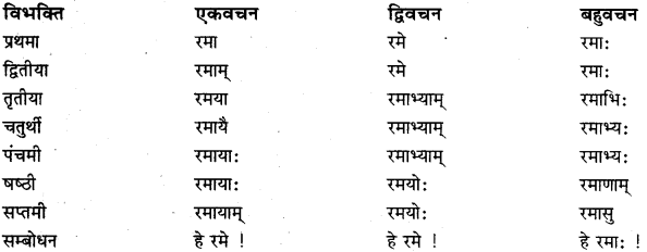 RBSE Class 11 Sanskrit व्याकरणम् शब्दरूप प्रकरणम् 13