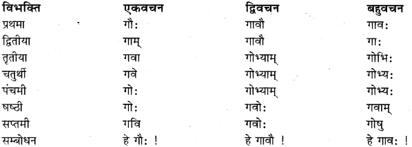 RBSE Class 11 Sanskrit व्याकरणम् शब्दरूप प्रकरणम् 15