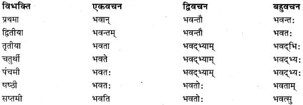 RBSE Class 11 Sanskrit व्याकरणम् शब्दरूप प्रकरणम् 17