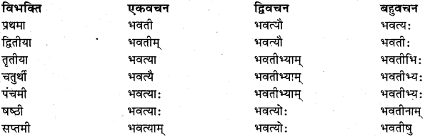 RBSE Class 11 Sanskrit व्याकरणम् शब्दरूप प्रकरणम् 19