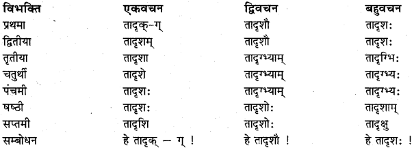 RBSE Class 11 Sanskrit व्याकरणम् शब्दरूप प्रकरणम् 20