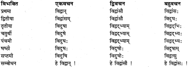 RBSE Class 11 Sanskrit व्याकरणम् शब्दरूप प्रकरणम् 21