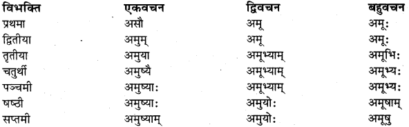 RBSE Class 11 Sanskrit व्याकरणम् शब्दरूप प्रकरणम् 23