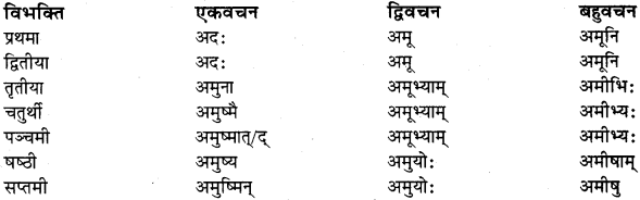 RBSE Class 11 Sanskrit व्याकरणम् शब्दरूप प्रकरणम् 24