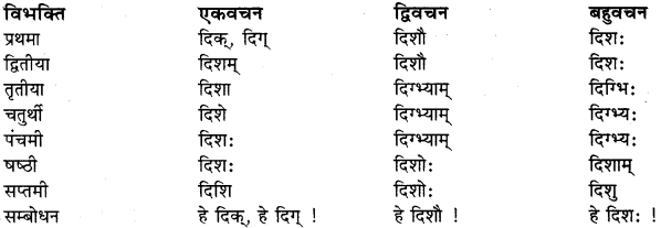 RBSE Class 11 Sanskrit व्याकरणम् शब्दरूप प्रकरणम् 25