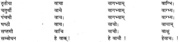 RBSE Class 11 Sanskrit व्याकरणम् शब्दरूप प्रकरणम् 28