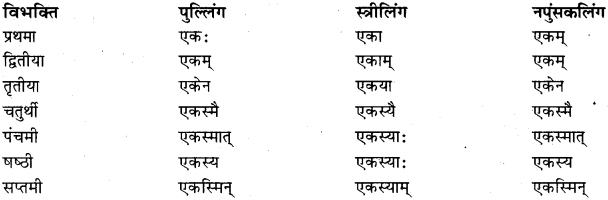 RBSE Class 11 Sanskrit व्याकरणम् शब्दरूप प्रकरणम् 6