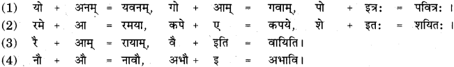 RBSE Class 11 Sanskrit व्याकरणम् सन्धि प्रकरणम् 17