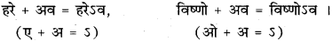 RBSE Class 11 Sanskrit व्याकरणम् सन्धि प्रकरणम् 18