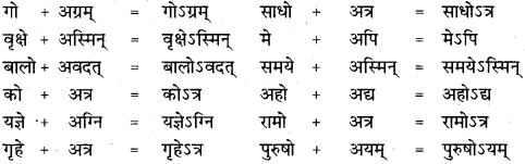 RBSE Class 11 Sanskrit व्याकरणम् सन्धि प्रकरणम् 19
