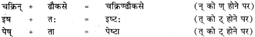 RBSE Class 11 Sanskrit व्याकरणम् सन्धि प्रकरणम् 23