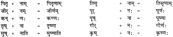 RBSE Class 11 Sanskrit व्याकरणम् सन्धि प्रकरणम् 24