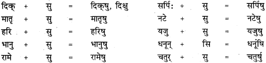 RBSE Class 11 Sanskrit व्याकरणम् सन्धि प्रकरणम् 25