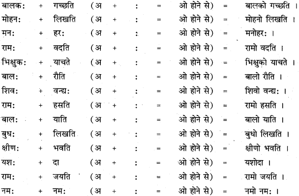 RBSE Class 11 Sanskrit व्याकरणम् सन्धि प्रकरणम् 27