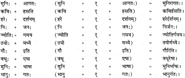 RBSE Class 11 Sanskrit व्याकरणम् सन्धि प्रकरणम् 28