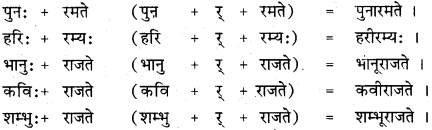 RBSE Class 11 Sanskrit व्याकरणम् सन्धि प्रकरणम् 29