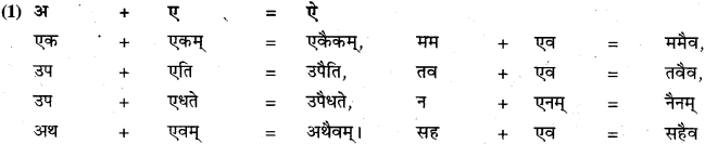 RBSE Class 11 Sanskrit व्याकरणम् सन्धि प्रकरणम् 9