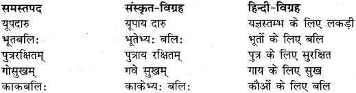 RBSE Class 11 Sanskrit व्याकरणम् समास प्रकरणम् 10