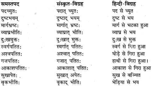 RBSE Class 11 Sanskrit व्याकरणम् समास प्रकरणम् 11