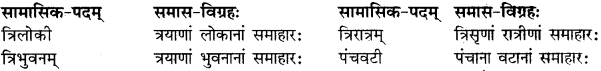 RBSE Class 11 Sanskrit व्याकरणम् समास प्रकरणम् 17