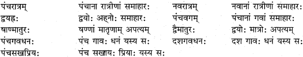 RBSE Class 11 Sanskrit व्याकरणम् समास प्रकरणम् 18