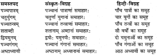 RBSE Class 11 Sanskrit व्याकरणम् समास प्रकरणम् 19