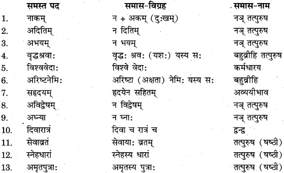 RBSE Class 11 Sanskrit व्याकरणम् समास प्रकरणम् 2