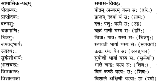 RBSE Class 11 Sanskrit व्याकरणम् समास प्रकरणम् 22