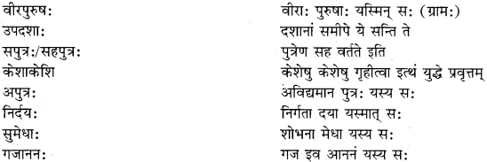 RBSE Class 11 Sanskrit व्याकरणम् समास प्रकरणम् 23
