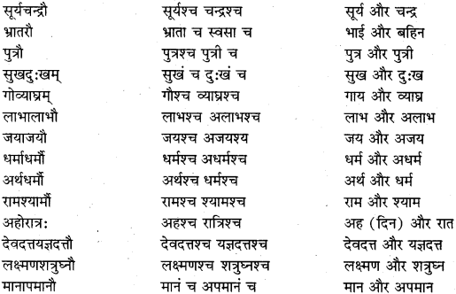 RBSE Class 11 Sanskrit व्याकरणम् समास प्रकरणम् 27